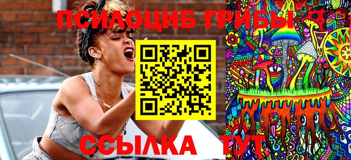 Чехов  Псилоцибиновые грибы ЛСД  купить наркотики сайты  Вход с VPN 