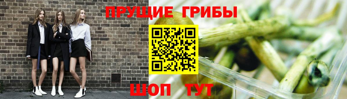 Галлюциногенные грибы прущие грибы Чехов